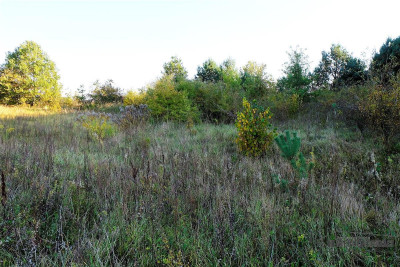 735 zł miesięcznie - kup na raty bez banku - Sulikowo   -
Zachodniopomorskie Zdjęcie nr 10