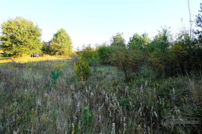 735 zł miesięcznie - kup na raty bez banku - Sulikowo   -
Zachodniopomorskie Zdjęcie nr 11