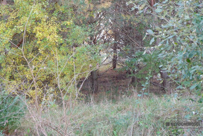 735 zł miesięcznie - kup na raty bez banku - Sulikowo   -
Zachodniopomorskie Zdjęcie nr 12