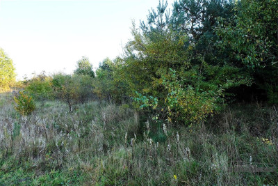 735 zł miesięcznie - kup na raty bez banku - Sulikowo   -
Zachodniopomorskie Zdjęcie nr 14