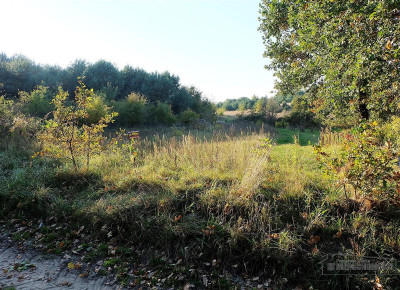 735 zł miesięcznie - kup na raty bez banku - Sulikowo   -
Zachodniopomorskie Zdjęcie nr 2