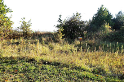 735 zł miesięcznie - kup na raty bez banku - Sulikowo   -
Zachodniopomorskie Zdjęcie nr 7