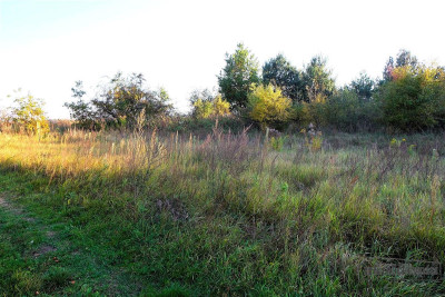 735 zł miesięcznie - kup na raty bez banku - Sulikowo   -
Zachodniopomorskie Zdjęcie nr 8