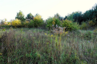 735 zł miesięcznie - kup na raty bez banku - Sulikowo   -
Zachodniopomorskie Zdjęcie nr 9