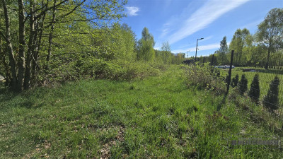 Działka nad Jeziorem Ciemino - Ciemino  -
Zachodniopomorskie Zdjęcie nr 11