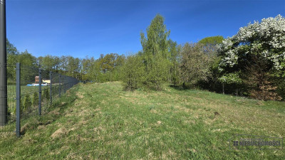 Działka nad Jeziorem Ciemino - Ciemino  -
Zachodniopomorskie Zdjęcie nr 13