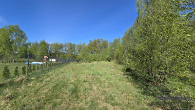 Działka nad Jeziorem Ciemino - Ciemino  -
Zachodniopomorskie Zdjęcie nr 14