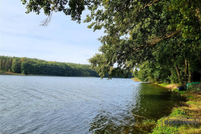 Dostęp do jeziora Dołgie ok 65 m linii brzegowej - Dołgie  -
Zachodniopomorskie Zdjęcie nr 7