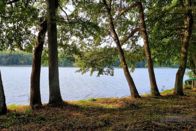 Dostęp do jeziora Dołgie ok 65 m linii brzegowej - Dołgie  -
Zachodniopomorskie Zdjęcie nr 8