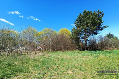 Duża działka budowlana blisko jeziora - Dołgie   -
Zachodniopomorskie Zdjęcie nr 10