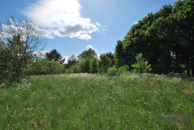 Duża działka budowlana blisko jeziora - Dołgie   -
Zachodniopomorskie Zdjęcie nr 12