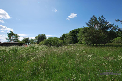 Duża działka budowlana blisko jeziora - Dołgie   -
Zachodniopomorskie Zdjęcie nr 13