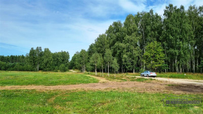 Dwie działki budowlane położone pod lasem - Biskupice  -
Zachodniopomorskie Zdjęcie nr 10