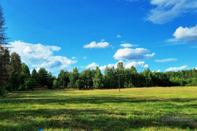 Dwie działki budowlane położone pod lasem - Biskupice  -
Zachodniopomorskie Zdjęcie nr 14