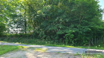 CHMIELNO - działka budowlana na raty - Chmielno   -
Zachodniopomorskie Zdjęcie nr 6