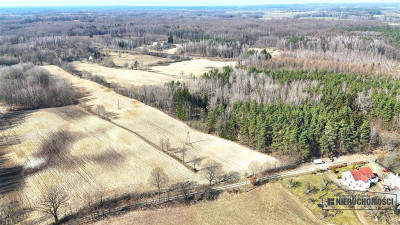 Grunt siedliskowy w otoczeniu lasu ok 25 km od J - Łączno  -
Zachodniopomorskie Zdjęcie nr 7