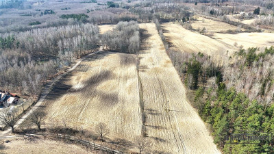 Grunt siedliskowy w otoczeniu lasu ok 25 km od J - Łączno  -
Zachodniopomorskie Zdjęcie nr 9