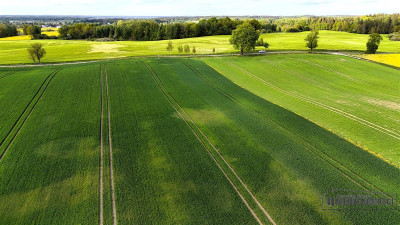 Działki budowlane pod Szczecinkiem - Marcelin - Marcelin   -
Zachodniopomorskie Zdjęcie nr 14