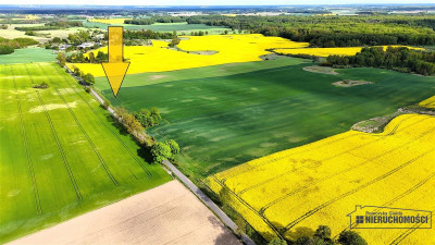 Działki budowlane pod Szczecinkiem - Marcelin - Marcelin   -
Zachodniopomorskie Zdjęcie nr 2