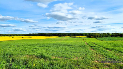 Działki budowlane pod Szczecinkiem - Marcelin - Marcelin   -
Zachodniopomorskie Zdjęcie nr 10
