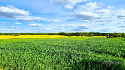 Działki budowlane pod Szczecinkiem - Marcelin - Marcelin   -
Zachodniopomorskie Zdjęcie nr 12