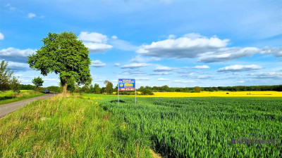 Działki budowlane pod Szczecinkiem - Marcelin - Marcelin   -
Zachodniopomorskie Zdjęcie nr 13