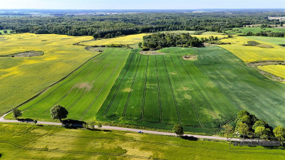 Działki budowlane pod Szczecinkiem - Marcelin - Marcelin   -
Zachodniopomorskie Zdjęcie nr 3