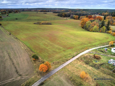 Działki budowlane na kolonii Parsęcko - Parsęcko  -
Zachodniopomorskie Zdjęcie nr 7