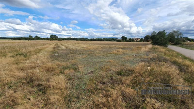 Działka budowlana na wsi ok 75 km od morza i Miel - Wielawino   -
Zachodniopomorskie Zdjęcie nr 10