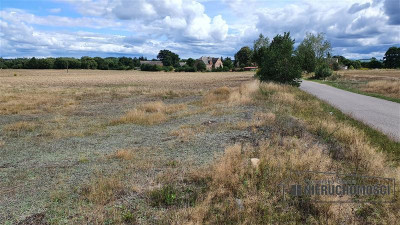 Działka budowlana na wsi ok 75 km od morza i Miel - Wielawino   -
Zachodniopomorskie Zdjęcie nr 11