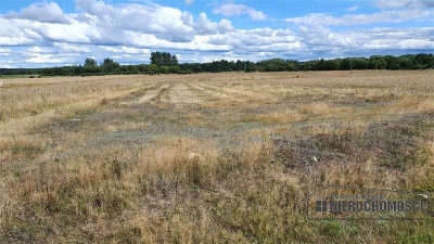 Działka budowlana na wsi ok 75 km od morza i Miel - Wielawino   -
Zachodniopomorskie Zdjęcie nr 13