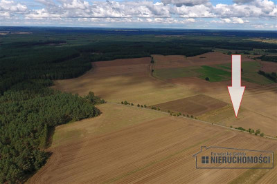 Działka budowlana na wsi ok 75 km od morza i Miel - Wielawino   -
Zachodniopomorskie Zdjęcie nr 4