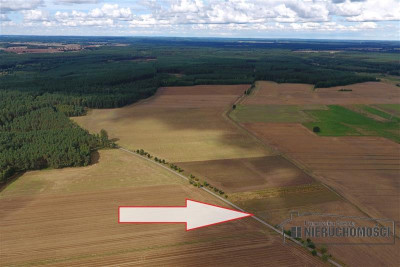 Działka budowlana na wsi ok 75 km od morza i Miel - Wielawino   -
Zachodniopomorskie Zdjęcie nr 5
