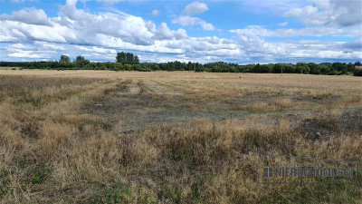 Działka budowlana na wsi ok 75 km od morza i Miel - Wielawino   -
Zachodniopomorskie Zdjęcie nr 8