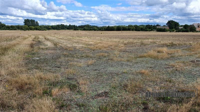 Działka budowlana na wsi ok 75 km od morza i Miel - Wielawino   -
Zachodniopomorskie Zdjęcie nr 9