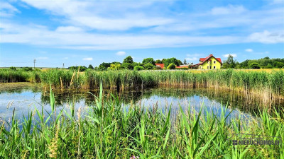 Działka 172 ha  MPZP  Sitno  staw  przy lesie - Sitno  -
Zachodniopomorskie Zdjęcie nr 10