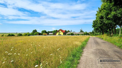 Działka 172 ha  MPZP  Sitno  staw  przy lesie - Sitno  -
Zachodniopomorskie Zdjęcie nr 11