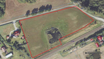 Działka 172 ha  MPZP  Sitno  staw  przy lesie - Sitno  -
Zachodniopomorskie Zdjęcie nr 13