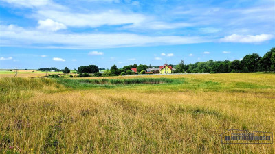 Działka 172 ha  MPZP  Sitno  staw  przy lesie - Sitno  -
Zachodniopomorskie Zdjęcie nr 9