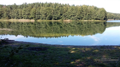 Działka w pobliżu lasu i jeziora - Nobliny  -
Zachodniopomorskie Zdjęcie nr 10