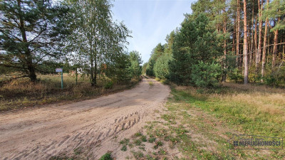 Działka w pobliżu lasu i jeziora - Nobliny  -
Zachodniopomorskie Zdjęcie nr 13