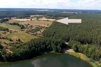 Działka w pobliżu lasu i jeziora - Nobliny  -
Zachodniopomorskie Zdjęcie nr 4