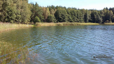 Działka w pobliżu lasu i jeziora - Nobliny  -
Zachodniopomorskie Zdjęcie nr 6
