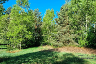 Działka budowlana blisko lasu i jeziora - Gwda Wielka   -
Zachodniopomorskie Zdjęcie nr 12