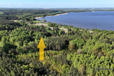 Działka budowlana blisko lasu i jeziora - Gwda Wielka   -
Zachodniopomorskie Zdjęcie nr 6