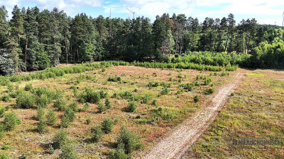 Okolica jeziora Dołgie i kompleksów leśnych - Dołgie   -
Zachodniopomorskie Zdjęcie nr 10