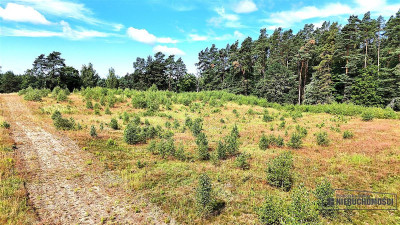 Okolica jeziora Dołgie i kompleksów leśnych - Dołgie   -
Zachodniopomorskie Zdjęcie nr 13