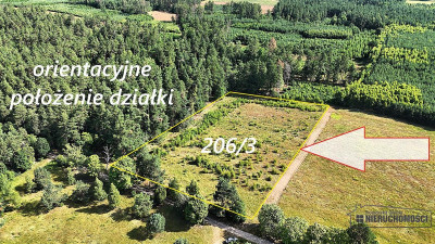 Okolica jeziora Dołgie i kompleksów leśnych - Dołgie   -
Zachodniopomorskie Zdjęcie nr 2