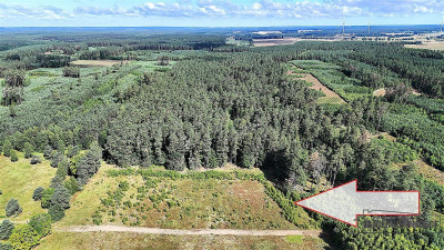 Okolica jeziora Dołgie i kompleksów leśnych - Dołgie   -
Zachodniopomorskie Zdjęcie nr 3