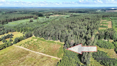 Okolica jeziora Dołgie i kompleksów leśnych - Dołgie   -
Zachodniopomorskie Zdjęcie nr 4